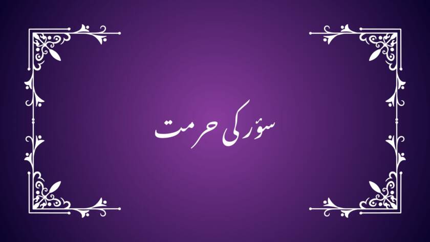 "سؤر کی حرمت" (محمد حسن الیاس) خور و نوش میں حلت و حرمت کی بنیاد طیب اور خبیث کے امتیاز پر قائم ہے،چنانچہ طیبات حلال اور خبائث حرام ہیں۔دین ہر پہلو سے نفس انسانی کا تزکیہ چاہتا ہے، اِس لیے اُس کا مطالبہ ہے کہ باطن کی تطہیر کے ساتھ کھانے پینے کی چیزوں میں بھی طیب اور خبیث کا فرق ہر حال میں ملحوظ رکھا جائے۔ یہ فرق انسانی فطرت میں ودیعت فطری معیار پر مبنی ہے۔ یہی وجہ ہے کہ خبائث کی پہچان انسان کے لیے کبھی اجنبی نہیں رہی۔ وہ اپنی فطری عادات اور جبلی میلانات کے تحت بعض چیزوں کے بارے میں طبعی کراہت محسوس کرتا ہے۔ یہ احساس بہ تدریج ایک مستقل طرزِ عمل میں ڈھلتا اوربالآخر ایک واضح اخلاقی گریز کی صورت اختیار کر جاتا ہے۔ اِسی کا نتیجہ ہے کہ انسان نہ صرف فرد کی حیثیت سے ایسی چیزوں کو کھانے سے اجتناب کرتا ہے، بلکہ اجتماعی سطح پر بھی اُنھیں خوراک کے طور پر قبول کرنے سے احتراز کرتا ہے۔ تاہم بعض معاملات ایسے ہوتے ہیں، جن میں فطری رہنمائی کے باوجود عملی اطلاق پوری طرح واضح نہیں ہو پاتا۔ اِس کی وجہ یہ ہوتی ہے کہ کچھ جانور اپنی ظاہری ساخت اور جبلی و غذائی عادات میں مختلف طبقات کی علامتیں بیک وقت رکھتے ہیں، جس سے طیب اور خبیث کا فرق فطری سطح پر پوری قطعیت کے ساتھ متعین کرنا مشکل ہوتا ہے۔ ایسے موقع پر جانوروں کے مابین پائی جانے والی یہی ظاہری اور جبلی مماثلتیں عقل انسانی کے لیے التباس اور اشتباہ پیدا کر دیتی ہیں ۔ جانوروں کے باب میں خوراک کا مسئلہ اِسی نوعیت کی ایک نمایاں مثال ہے۔ اِس فرق کو واضح کرنے کے لیے قرآنِ مجید نے طیب جانوروں کے باب میں اصولی رہنمائی کی ہے۔ ارشاد فرمایا ہے: أُحِلَّتْ لَكُم بَهِيمَةُ الْأَنْعَامِ. (المائدۃ 5: 1) ’’تمھارے لیے مویشیوں کی قسم کے جانور حلال کر دیے گئے ہیں۔‘‘ ’بہیمۃ الانعام‘ سے مراد وہ جانور ہیں، جو اپنی فطرت میں چرنے والے ہوتے ہیں، یعنی اِن کی غذا مکمل طور پر نباتات پرمشتمل ہوتی ہے۔ جدید اصطلاح میں اِنھیں herbivores کہا جاتا ہے۔اِن کی مثال گاے، بکری اور بھیڑ وغیرہ ہیں۔ اِن کی جسمانی ساخت، نظامِ ہاضمہ اور عمومی عادات، سب گھاس خوری کے لیے موزوں ہوتی ہیں اور یہ حیوانی غذا کی طرف کوئی طبعی میلان نہیں رکھتے۔ اِن جانوروں کو حلال قرار دیا ہے۔ قرآنِ مجید کی اِس رہنمائی سے یہ بات آپ سے آپ واضح ہو جاتی ہے کہ جو جانور اِس دائرے میں شامل نہیں ہیں، وہ خبائث میں شمار ہوں گے۔ چنانچہ وہ جانور جو شکار کرتے ہیں، پنجوں اور نوکیلے دانتوں سے حملہ آور ہوتے ہیں، شکار کو پھاڑتے اور چیرتے ہیں اور جن کی فطرت میں درندگی نمایاں ہوتی ہے، اِس دائرے سے خارج ہو جاتے ہیں۔ نبی صلی اللہ علیہ وسلم نے قرآنِ مجید کے اِسی مدعا کو مزید واضح کرتے ہوئے درندگی کی ظاہری علامات بیان فرمائی ہیں۔ ابن عباس رضی اللہ عنہ سے روایت ہے: نَهَى عَنْ كُلِّ ذِي نَابٍ مِنَ السِّبَاعِ وَعَنْ كُلِّ ذِي مِخْلَبٍ مِنَ الطَّيْرِ. (مسلم، رقم 4994) ’’رسول اللہ صلی اللہ علیہ وسلم نے ہر کچلی والے درندے اور پنجوں سے شکار کرنے والے پرندے کا گوشت کھانے سے منع فرمایا۔‘‘ خور و نوش کے باب میں قرآنِ مجید کی یہ رہنمائی طیب اور خبیث کی تقسیم کو پوری طرح واضح کر دیتی ہے۔ تاہم رسول اللہ صلی اللہ علیہ وسلم نے اِس ضمن میں ایک اور نہایت اہم اصول کی طرف بھی توجہ دلائی ہے، جس کے ذریعے سے حلال، حرام اور مشتبہات کے دائرے کو واضح کیا گیا ہے۔ آپ صلی اللہ علیہ وسلم کا ارشاد ہے: الحلال بین والحرام بین وبینھما مشتبھات. (بخاری، رقم 52) ’’حلال واضح ہے اور حرام بھی واضح ہے اور اِن دونوں کے درمیان بعض چیزیں مشتبہ ہیں۔‘‘ یعنی حلال اور حرام اپنی اصل میں واضح ہیں، تاہم اِن کے درمیان بعض چیزیں ایسی ہو سکتی ہیں، جن میں اشتباہ ہو۔ یہی وہ مقام ہے، جہاں بعض جانوروں کے معاملے میں اطلاق کا سوال پیدا ہوتا ہے۔ اِس معاملے میں فیصلہ کن رہنمائی جانوروں کی فطری غذائی عادات سے حاصل ہوتی ہے، کیونکہ یہی عادات طیب اور خبیث کے فرق کو عملی سطح پر نمایاں کر دیتی ہیں۔چنانچہ اگر جانوروں کے باب میں اِن کی غذائی عادات کو بنیاد بنایا جائے تو صورتِ حال بڑی حد تک واضح ہو جاتی ہے۔ ایک طرف وہ جانور (herbivores) ہیں، جو خالص نباتات پر پلتے ہیں۔ یہ ’بہیمۃ الانعام‘ کے دائرے میں آتے ہیں اور حلال ہیں۔ دوسری طرف وہ جانور (carnivores) ہیں، جو شکار کرتے ہیں اور اپنی درندہ صفت فطرت کی بنا پر اِس دائرے سے خارج ہو جاتے ہیں۔ اصل سوال تیسری قسم کے جانوروں کا ہے، یعنی وہ جو نباتاتی اور حیوانی، دونوں طرح کی غذا کھاتے ہیں، جنھیں omnivorous کہا جاتا ہے۔ ہمہ خور جانوروں کا دائرہ بلاشبہ وسیع ہے، لیکن اِس کے اندر بھی واضح امتیازات پائے جاتے ہیں۔ زمینی جانوروں میں ریچھ، ببون اور بعض اقسام کے بندر اگرچہ omnivorous شمار ہوتے ہیں، مگر اِن سب میں ایک بنیادی قدرِ مشترک یہ ہے کہ یہ جانور باقاعدہ شکار کرتے ہیں، پنجوں اور دانتوں سے حملہ آور ہوتے ہیں، شکار کو پھاڑتے اور چیر کر کھاتے ہیں، اور ان کی فطرت میں درندگی نمایاں ہوتی ہے۔ یہی اوصاف اِنھیں محض ہمہ خور نہیں رہنے دیتے، بلکہ اصولی طور پر درندوں کے دائرے میں داخل کر دیتے ہیں۔ چنانچہ اِن جانوروں کے بارے میں کسی اضافی نص یا الگ ہدایت کی ضرورت باقی نہیں رہتی۔ اِس کے برعکس، بعض omnivorous جانور ایسے بھی ہیں، جنھیں محض ہمہ خوری کی بنا پر درندہ قرار نہیں دیا جا سکتا۔ مرغی اور بطخ جیسے پرندے اگرچہ کیڑے مکوڑے یا چھوٹے جان دار کھا لیتے ہیں، لیکن وہ نہ شکار کرتے ہیں، نہ پھاڑتے ہیں، نہ چیرتے ہیں، بلکہ جو کچھ کھاتے ہیں، اُسے نگل لیتے ہیں۔ نہ اِن کے پنجے شکار کے لیے بنے ہوتے ہیں، نہ اِن کی فطرت میں درندگی پائی جاتی ہے۔ اِس بنا پر اِن کا معاملہ محل اشتباہ میں نہیں رہتا۔یہی اصول مچھلیوں کے باب میں بھی پوری طرح منطبق ہوتا ہے۔ بہت سی مچھلیاں ایسی ہیں، جو اپنی غذا کو نگل لیتی ہیں اور جن کے دانت شکار کو پھاڑنے یا چیرنے کے لیے نہیں ہوتے، اِس لیے اِن کے بارے میں کوئی تردد پیدا نہیں ہوتا۔ اِس کے برعکس، بعض مچھلیاں، جیسے شارک، شکار کو پھاڑ کر کھاتی ہیں، اُن کے دانت اِسی مقصد کے لیے بنے ہوتے ہیں اور اُن کی فطرت واضح طور پر درندہ صفت ہوتی ہے۔ اِس بنا پر ایسی مچھلیاں بھی اصولاً اِسی دائرے میں آ جاتی ہیں۔ اِن توضیحات کے بعد سؤر کا معاملہ سامنے آتا ہے اور یہی وہ مقام ہے، جہاں اشتباہ پوری طرح نمایاں ہو جاتا ہے۔ سؤر نہ ریچھ اور ببون کی طرح ایسا جانور ہے کہ اِس کی ہیئت، قوت اور طرزِ عمل میں درندگی اِس درجے میں نمایاں ہو کہ اِسے بلا تردد گوشت خور درندوں میں شامل کر لیا جائے، اور نہ مرغی و بطخ کی طرح ایسا ہے کہ اِس کی غذائی عادات ہی اِس کے معاملے کو پوری قطعیت کے ساتھ واضح کر دیں۔ پہلی نظر میں سؤر اپنی ہیئت اور جسمانی ساخت، خصوصاً جفت کُھرکی بنا پر بکری اور گاے جیسے مویشیوں کے قریب دکھائی دیتا ہے۔ مزید یہ کہ وہ انسان کے ساتھ مانوس بھی ہو جاتا ہے اور پالتو بھی بنایا جاتا ہے اوراِس کا گوشت اپنے ذائقے میں مرغوب بھی ہے۔ یہی ظاہری مشابہت اور انسیت اِسے ’بہیمۃ الانعام‘ کے دائرے کے قریب لے آتی ہے۔ اِس کے ساتھ یہ بات بھی معلوم ہےکہ سؤر پالتو ہو یا جنگلی، اصلاً شکاری جانور نہیں ہوتا۔ وہ نہ شکار کا تعاقب کرتے ہیں، نہ منظم انداز میں جانوروں کو مار کر کھاتے ہیں اور نہ پنجوں کے ذریعے سے حملہ آور ہونے کا وہ انداز رکھتے ہیں، جو درندوں کی پہچان سمجھا جاتا ہے۔ اِس اعتبار سے اِنھیں خالص گوشت خور درندوں کے ساتھ رکھنا بادی النظر میں درست معلوم نہیں ہوتا۔ تاہم، ظاہری مشابہت سے آگے بڑھ کر غذائی عادات کا تجزیہ سؤر کی حیوانی فطرت کا ایک مختلف پہلو نمایاں کرتا ہے۔ سؤر چونکہ ہمہ خور ہے، اِس لیے جب اِسے حیوانی غذا میسر آتی ہے تو وہ اُسے محض نگل نہیں لیتا، بلکہ دانتوں سے کاٹتا، مضبوط جبڑوں سے چباتا اور کچلتا ہے۔ اِس کے جبڑوں کی ساخت اور کچلیوں کی موجودگی اِسے کچے گوشت کو چیر کر کھانے کی صلاحیت دیتی ہے، اور یہ خصوصیت خالص نبات خور جانوروں میں نہیں پائی جاتی۔ چنانچہ اِس کے بارے میں جہاں ایک طرف انعام کی طرح مویشیوں سے مشابہ بعض ظاہری اوصاف سامنے آتے ہیں تو دوسری طرف حملہ آور ہوکر گوشت خوری سے وابستہ درندہ صفت رجحانات بھی پوری طرح موجود رہتے ہیں۔ یہی باہمی تضاد اِس جانور کی حیوانی حیثیت کے تعین میں اشتباہ پیدا کرتا ہے۔ اِس اشتباہ کو تورات میں یوں بیان کیا گیا ہے کہ وہ جفت کُھررکھتا ہے، مگر جگالی نہیں کرتا۔ کتابِ احبار میں ہے: ’’اور سؤر، اِس لیے کہ اس کے کُھرچِرے ہوئے تو ہیں، مگر وہ جگالی نہیں کرتا، اِس وجہ سے وہ تمھارے لیے ناپاک ہے۔ تم اُس کا گوشت نہ کھانا اور نہ اُس کے مردار کو چھونا؛ وہ تمھارے لیے ناپاک ہے۔‘‘ (احبار 11 :7-8) یہاں جگالی محض ایک حیوانی عادت نہیں، بلکہ اِس بات کی علامت ہے کہ جانور کی فطرت اور اُس کا نظامِ ہضم مکمل طور پر نباتاتی غذا کے لیے بنا ہے۔ گاے، بکری اور بھیڑ جیسے جانور پہلے نباتاتی غذا کو نگل لیتے ہیں، پھر اُسے دوبارہ منہ میں لا کر چباتے ہیں اور یوں یہ عمل اُن کے خالص نبات خور (herbivorous)ہونے کو واضح کر دیتا ہے۔ سؤر چونکہ یہ عمل نہیں کرتا، اِس لیے جفت کُھررکھنے کے باوجود وہ حقیقی معنوں میں انعام کے قسم کے مویشیوں کے دائرے میں شامل نہیں ہو پاتا۔ اِسی اصولی فرق اور مشتبہ صورتِ حال کے پیش نظر قرآنِ مجید نے اِس باب کو انسانی قیاس اور اندازوں پر نہیں چھوڑا، بلکہ سؤر کو صراحت کے ساتھ حرام قرار دے کر معاملے کو پوری قطعیت سے واضح کر دیا ہے، مقصود یہ ہے کہ حلال و حرام کے باب میں کسی درجے کا ابہام باقی نہ رہے۔ ارشاد ہے: اِنَّمَا حَرَّمَ عَلَیۡکُمُ الۡمَیۡتَۃَ وَ الدَّمَ وَ لَحۡمَ الۡخِنۡزِیۡرِ وَ مَاۤ اُہِلَّ بِہٖ لِغَیۡرِ اللّٰہِ. (البقرۃ 2: 173) ’’اُس نے تو تمھارے لیے صرف مردار اور خون اورسؤر کا گوشت اور غیراللہ کے نام کا ذبیحہ حرام ٹھیرایا ہے۔‘‘ قرآنِ مجید کے اس فیصلے سے یہ حقیقت بھی پوری طرح واضح ہو جاتی ہے کہ شریعت کن معاملات میں اور کس بنیاد پر قانون سازی کرتی ہے۔ دین کی ہدایت اپنی اصل میں انسانی فطرت کے اندر موجود ہے اور بیش تر امور میں انسان اِسی فطری ادراک کی بنیاد پر صحیح اور غلط کے درمیان امتیاز قائم کر لیتا ہے۔ تاہم ایک دائرہ ایسا بھی ہوتا ہے، جہاں یہ فطری رہنمائی قطعی صورت اختیار نہیں کر پاتی اور ظاہری مماثلتوں کے باعث شبہات پیدا ہو جاتے ہیں۔ یہی دراصل مشتبہات کا دائرہ ہے۔ ایسے موقعوں پر اللہ تعالیٰ محض اصولی رہنمائی پر اکتفا نہیں کرتے، بلکہ صریح قانون سازی کے ذریعے سے خود فیصلہ صادر فرما دیتے ہیں، تاکہ انسانی قیاس، اختلاف اور تردد کے تمام امکانات ختم ہو جائیں۔ سؤر کی حرمت کا صریح بیان اِسی اصول کی ایک نمایاں مثال ہے، جہاں شریعت نے اشتباہ کو باقی رکھنے کے بجاے حلال و حرام کے معاملے کو پوری قطعیت کے ساتھ متعین کر دیا ہے۔ ـــــــــــــــــــــــــ 1-اِس سے واضح ہے کہ اِس جانور سے ہر طرح کی عملی وابستگی اور انسیت رکھنے سے منع کیا گیا ہے، تاکہ ملتبس فطرت اور مشتبہ درندگی کے پہلو کونظرانداز نہ کیا جائے اور حرمت اپنی اصل حکمت کے ساتھ قائم رہے۔