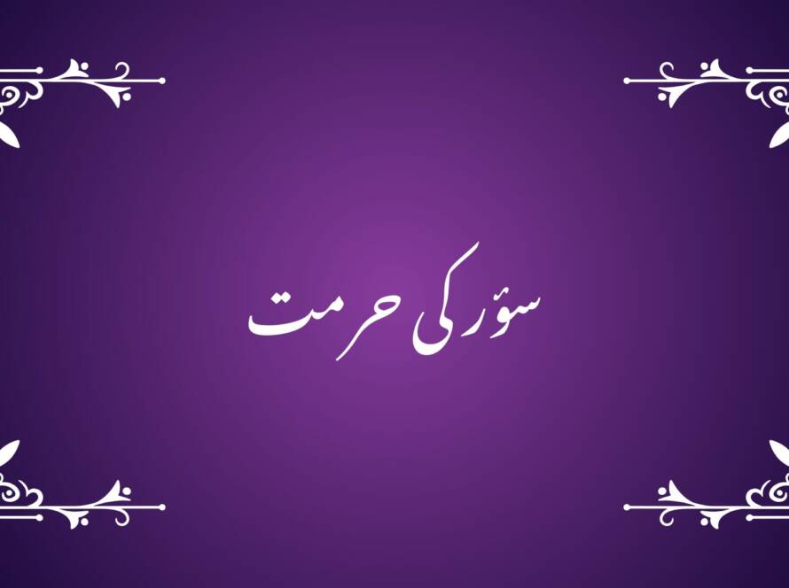 "سؤر کی حرمت" (محمد حسن الیاس) خور و نوش میں حلت و حرمت کی بنیاد طیب اور خبیث کے امتیاز پر قائم ہے،چنانچہ طیبات حلال اور خبائث حرام ہیں۔دین ہر پہلو سے نفس انسانی کا تزکیہ چاہتا ہے، اِس لیے اُس کا مطالبہ ہے کہ باطن کی تطہیر کے ساتھ کھانے پینے کی چیزوں میں بھی طیب اور خبیث کا فرق ہر حال میں ملحوظ رکھا جائے۔ یہ فرق انسانی فطرت میں ودیعت فطری معیار پر مبنی ہے۔ یہی وجہ ہے کہ خبائث کی پہچان انسان کے لیے کبھی اجنبی نہیں رہی۔ وہ اپنی فطری عادات اور جبلی میلانات کے تحت بعض چیزوں کے بارے میں طبعی کراہت محسوس کرتا ہے۔ یہ احساس بہ تدریج ایک مستقل طرزِ عمل میں ڈھلتا اوربالآخر ایک واضح اخلاقی گریز کی صورت اختیار کر جاتا ہے۔ اِسی کا نتیجہ ہے کہ انسان نہ صرف فرد کی حیثیت سے ایسی چیزوں کو کھانے سے اجتناب کرتا ہے، بلکہ اجتماعی سطح پر بھی اُنھیں خوراک کے طور پر قبول کرنے سے احتراز کرتا ہے۔ تاہم بعض معاملات ایسے ہوتے ہیں، جن میں فطری رہنمائی کے باوجود عملی اطلاق پوری طرح واضح نہیں ہو پاتا۔ اِس کی وجہ یہ ہوتی ہے کہ کچھ جانور اپنی ظاہری ساخت اور جبلی و غذائی عادات میں مختلف طبقات کی علامتیں بیک وقت رکھتے ہیں، جس سے طیب اور خبیث کا فرق فطری سطح پر پوری قطعیت کے ساتھ متعین کرنا مشکل ہوتا ہے۔ ایسے موقع پر جانوروں کے مابین پائی جانے والی یہی ظاہری اور جبلی مماثلتیں عقل انسانی کے لیے التباس اور اشتباہ پیدا کر دیتی ہیں ۔ جانوروں کے باب میں خوراک کا مسئلہ اِسی نوعیت کی ایک نمایاں مثال ہے۔ اِس فرق کو واضح کرنے کے لیے قرآنِ مجید نے طیب جانوروں کے باب میں اصولی رہنمائی کی ہے۔ ارشاد فرمایا ہے: أُحِلَّتْ لَكُم بَهِيمَةُ الْأَنْعَامِ. (المائدۃ 5: 1) ’’تمھارے لیے مویشیوں کی قسم کے جانور حلال کر دیے گئے ہیں۔‘‘ ’بہیمۃ الانعام‘ سے مراد وہ جانور ہیں، جو اپنی فطرت میں چرنے والے ہوتے ہیں، یعنی اِن کی غذا مکمل طور پر نباتات پرمشتمل ہوتی ہے۔ جدید اصطلاح میں اِنھیں herbivores کہا جاتا ہے۔اِن کی مثال گاے، بکری اور بھیڑ وغیرہ ہیں۔ اِن کی جسمانی ساخت، نظامِ ہاضمہ اور عمومی عادات، سب گھاس خوری کے لیے موزوں ہوتی ہیں اور یہ حیوانی غذا کی طرف کوئی طبعی میلان نہیں رکھتے۔ اِن جانوروں کو حلال قرار دیا ہے۔ قرآنِ مجید کی اِس رہنمائی سے یہ بات آپ سے آپ واضح ہو جاتی ہے کہ جو جانور اِس دائرے میں شامل نہیں ہیں، وہ خبائث میں شمار ہوں گے۔ چنانچہ وہ جانور جو شکار کرتے ہیں، پنجوں اور نوکیلے دانتوں سے حملہ آور ہوتے ہیں، شکار کو پھاڑتے اور چیرتے ہیں اور جن کی فطرت میں درندگی نمایاں ہوتی ہے، اِس دائرے سے خارج ہو جاتے ہیں۔ نبی صلی اللہ علیہ وسلم نے قرآنِ مجید کے اِسی مدعا کو مزید واضح کرتے ہوئے درندگی کی ظاہری علامات بیان فرمائی ہیں۔ ابن عباس رضی اللہ عنہ سے روایت ہے: نَهَى عَنْ كُلِّ ذِي نَابٍ مِنَ السِّبَاعِ وَعَنْ كُلِّ ذِي مِخْلَبٍ مِنَ الطَّيْرِ. (مسلم، رقم 4994) ’’رسول اللہ صلی اللہ علیہ وسلم نے ہر کچلی والے درندے اور پنجوں سے شکار کرنے والے پرندے کا گوشت کھانے سے منع فرمایا۔‘‘ خور و نوش کے باب میں قرآنِ مجید کی یہ رہنمائی طیب اور خبیث کی تقسیم کو پوری طرح واضح کر دیتی ہے۔ تاہم رسول اللہ صلی اللہ علیہ وسلم نے اِس ضمن میں ایک اور نہایت اہم اصول کی طرف بھی توجہ دلائی ہے، جس کے ذریعے سے حلال، حرام اور مشتبہات کے دائرے کو واضح کیا گیا ہے۔ آپ صلی اللہ علیہ وسلم کا ارشاد ہے: الحلال بین والحرام بین وبینھما مشتبھات. (بخاری، رقم 52) ’’حلال واضح ہے اور حرام بھی واضح ہے اور اِن دونوں کے درمیان بعض چیزیں مشتبہ ہیں۔‘‘ یعنی حلال اور حرام اپنی اصل میں واضح ہیں، تاہم اِن کے درمیان بعض چیزیں ایسی ہو سکتی ہیں، جن میں اشتباہ ہو۔ یہی وہ مقام ہے، جہاں بعض جانوروں کے معاملے میں اطلاق کا سوال پیدا ہوتا ہے۔ اِس معاملے میں فیصلہ کن رہنمائی جانوروں کی فطری غذائی عادات سے حاصل ہوتی ہے، کیونکہ یہی عادات طیب اور خبیث کے فرق کو عملی سطح پر نمایاں کر دیتی ہیں۔چنانچہ اگر جانوروں کے باب میں اِن کی غذائی عادات کو بنیاد بنایا جائے تو صورتِ حال بڑی حد تک واضح ہو جاتی ہے۔ ایک طرف وہ جانور (herbivores) ہیں، جو خالص نباتات پر پلتے ہیں۔ یہ ’بہیمۃ الانعام‘ کے دائرے میں آتے ہیں اور حلال ہیں۔ دوسری طرف وہ جانور (carnivores) ہیں، جو شکار کرتے ہیں اور اپنی درندہ صفت فطرت کی بنا پر اِس دائرے سے خارج ہو جاتے ہیں۔ اصل سوال تیسری قسم کے جانوروں کا ہے، یعنی وہ جو نباتاتی اور حیوانی، دونوں طرح کی غذا کھاتے ہیں، جنھیں omnivorous کہا جاتا ہے۔ ہمہ خور جانوروں کا دائرہ بلاشبہ وسیع ہے، لیکن اِس کے اندر بھی واضح امتیازات پائے جاتے ہیں۔ زمینی جانوروں میں ریچھ، ببون اور بعض اقسام کے بندر اگرچہ omnivorous شمار ہوتے ہیں، مگر اِن سب میں ایک بنیادی قدرِ مشترک یہ ہے کہ یہ جانور باقاعدہ شکار کرتے ہیں، پنجوں اور دانتوں سے حملہ آور ہوتے ہیں، شکار کو پھاڑتے اور چیر کر کھاتے ہیں، اور ان کی فطرت میں درندگی نمایاں ہوتی ہے۔ یہی اوصاف اِنھیں محض ہمہ خور نہیں رہنے دیتے، بلکہ اصولی طور پر درندوں کے دائرے میں داخل کر دیتے ہیں۔ چنانچہ اِن جانوروں کے بارے میں کسی اضافی نص یا الگ ہدایت کی ضرورت باقی نہیں رہتی۔ اِس کے برعکس، بعض omnivorous جانور ایسے بھی ہیں، جنھیں محض ہمہ خوری کی بنا پر درندہ قرار نہیں دیا جا سکتا۔ مرغی اور بطخ جیسے پرندے اگرچہ کیڑے مکوڑے یا چھوٹے جان دار کھا لیتے ہیں، لیکن وہ نہ شکار کرتے ہیں، نہ پھاڑتے ہیں، نہ چیرتے ہیں، بلکہ جو کچھ کھاتے ہیں، اُسے نگل لیتے ہیں۔ نہ اِن کے پنجے شکار کے لیے بنے ہوتے ہیں، نہ اِن کی فطرت میں درندگی پائی جاتی ہے۔ اِس بنا پر اِن کا معاملہ محل اشتباہ میں نہیں رہتا۔یہی اصول مچھلیوں کے باب میں بھی پوری طرح منطبق ہوتا ہے۔ بہت سی مچھلیاں ایسی ہیں، جو اپنی غذا کو نگل لیتی ہیں اور جن کے دانت شکار کو پھاڑنے یا چیرنے کے لیے نہیں ہوتے، اِس لیے اِن کے بارے میں کوئی تردد پیدا نہیں ہوتا۔ اِس کے برعکس، بعض مچھلیاں، جیسے شارک، شکار کو پھاڑ کر کھاتی ہیں، اُن کے دانت اِسی مقصد کے لیے بنے ہوتے ہیں اور اُن کی فطرت واضح طور پر درندہ صفت ہوتی ہے۔ اِس بنا پر ایسی مچھلیاں بھی اصولاً اِسی دائرے میں آ جاتی ہیں۔ اِن توضیحات کے بعد سؤر کا معاملہ سامنے آتا ہے اور یہی وہ مقام ہے، جہاں اشتباہ پوری طرح نمایاں ہو جاتا ہے۔ سؤر نہ ریچھ اور ببون کی طرح ایسا جانور ہے کہ اِس کی ہیئت، قوت اور طرزِ عمل میں درندگی اِس درجے میں نمایاں ہو کہ اِسے بلا تردد گوشت خور درندوں میں شامل کر لیا جائے، اور نہ مرغی و بطخ کی طرح ایسا ہے کہ اِس کی غذائی عادات ہی اِس کے معاملے کو پوری قطعیت کے ساتھ واضح کر دیں۔ پہلی نظر میں سؤر اپنی ہیئت اور جسمانی ساخت، خصوصاً جفت کُھرکی بنا پر بکری اور گاے جیسے مویشیوں کے قریب دکھائی دیتا ہے۔ مزید یہ کہ وہ انسان کے ساتھ مانوس بھی ہو جاتا ہے اور پالتو بھی بنایا جاتا ہے اوراِس کا گوشت اپنے ذائقے میں مرغوب بھی ہے۔ یہی ظاہری مشابہت اور انسیت اِسے ’بہیمۃ الانعام‘ کے دائرے کے قریب لے آتی ہے۔ اِس کے ساتھ یہ بات بھی معلوم ہےکہ سؤر پالتو ہو یا جنگلی، اصلاً شکاری جانور نہیں ہوتا۔ وہ نہ شکار کا تعاقب کرتے ہیں، نہ منظم انداز میں جانوروں کو مار کر کھاتے ہیں اور نہ پنجوں کے ذریعے سے حملہ آور ہونے کا وہ انداز رکھتے ہیں، جو درندوں کی پہچان سمجھا جاتا ہے۔ اِس اعتبار سے اِنھیں خالص گوشت خور درندوں کے ساتھ رکھنا بادی النظر میں درست معلوم نہیں ہوتا۔ تاہم، ظاہری مشابہت سے آگے بڑھ کر غذائی عادات کا تجزیہ سؤر کی حیوانی فطرت کا ایک مختلف پہلو نمایاں کرتا ہے۔ سؤر چونکہ ہمہ خور ہے، اِس لیے جب اِسے حیوانی غذا میسر آتی ہے تو وہ اُسے محض نگل نہیں لیتا، بلکہ دانتوں سے کاٹتا، مضبوط جبڑوں سے چباتا اور کچلتا ہے۔ اِس کے جبڑوں کی ساخت اور کچلیوں کی موجودگی اِسے کچے گوشت کو چیر کر کھانے کی صلاحیت دیتی ہے، اور یہ خصوصیت خالص نبات خور جانوروں میں نہیں پائی جاتی۔ چنانچہ اِس کے بارے میں جہاں ایک طرف انعام کی طرح مویشیوں سے مشابہ بعض ظاہری اوصاف سامنے آتے ہیں تو دوسری طرف حملہ آور ہوکر گوشت خوری سے وابستہ درندہ صفت رجحانات بھی پوری طرح موجود رہتے ہیں۔ یہی باہمی تضاد اِس جانور کی حیوانی حیثیت کے تعین میں اشتباہ پیدا کرتا ہے۔ اِس اشتباہ کو تورات میں یوں بیان کیا گیا ہے کہ وہ جفت کُھررکھتا ہے، مگر جگالی نہیں کرتا۔ کتابِ احبار میں ہے: ’’اور سؤر، اِس لیے کہ اس کے کُھرچِرے ہوئے تو ہیں، مگر وہ جگالی نہیں کرتا، اِس وجہ سے وہ تمھارے لیے ناپاک ہے۔ تم اُس کا گوشت نہ کھانا اور نہ اُس کے مردار کو چھونا؛ وہ تمھارے لیے ناپاک ہے۔‘‘ (احبار 11 :7-8) یہاں جگالی محض ایک حیوانی عادت نہیں، بلکہ اِس بات کی علامت ہے کہ جانور کی فطرت اور اُس کا نظامِ ہضم مکمل طور پر نباتاتی غذا کے لیے بنا ہے۔ گاے، بکری اور بھیڑ جیسے جانور پہلے نباتاتی غذا کو نگل لیتے ہیں، پھر اُسے دوبارہ منہ میں لا کر چباتے ہیں اور یوں یہ عمل اُن کے خالص نبات خور (herbivorous)ہونے کو واضح کر دیتا ہے۔ سؤر چونکہ یہ عمل نہیں کرتا، اِس لیے جفت کُھررکھنے کے باوجود وہ حقیقی معنوں میں انعام کے قسم کے مویشیوں کے دائرے میں شامل نہیں ہو پاتا۔ اِسی اصولی فرق اور مشتبہ صورتِ حال کے پیش نظر قرآنِ مجید نے اِس باب کو انسانی قیاس اور اندازوں پر نہیں چھوڑا، بلکہ سؤر کو صراحت کے ساتھ حرام قرار دے کر معاملے کو پوری قطعیت سے واضح کر دیا ہے، مقصود یہ ہے کہ حلال و حرام کے باب میں کسی درجے کا ابہام باقی نہ رہے۔ ارشاد ہے: اِنَّمَا حَرَّمَ عَلَیۡکُمُ الۡمَیۡتَۃَ وَ الدَّمَ وَ لَحۡمَ الۡخِنۡزِیۡرِ وَ مَاۤ اُہِلَّ بِہٖ لِغَیۡرِ اللّٰہِ. (البقرۃ 2: 173) ’’اُس نے تو تمھارے لیے صرف مردار اور خون اورسؤر کا گوشت اور غیراللہ کے نام کا ذبیحہ حرام ٹھیرایا ہے۔‘‘ قرآنِ مجید کے اس فیصلے سے یہ حقیقت بھی پوری طرح واضح ہو جاتی ہے کہ شریعت کن معاملات میں اور کس بنیاد پر قانون سازی کرتی ہے۔ دین کی ہدایت اپنی اصل میں انسانی فطرت کے اندر موجود ہے اور بیش تر امور میں انسان اِسی فطری ادراک کی بنیاد پر صحیح اور غلط کے درمیان امتیاز قائم کر لیتا ہے۔ تاہم ایک دائرہ ایسا بھی ہوتا ہے، جہاں یہ فطری رہنمائی قطعی صورت اختیار نہیں کر پاتی اور ظاہری مماثلتوں کے باعث شبہات پیدا ہو جاتے ہیں۔ یہی دراصل مشتبہات کا دائرہ ہے۔ ایسے موقعوں پر اللہ تعالیٰ محض اصولی رہنمائی پر اکتفا نہیں کرتے، بلکہ صریح قانون سازی کے ذریعے سے خود فیصلہ صادر فرما دیتے ہیں، تاکہ انسانی قیاس، اختلاف اور تردد کے تمام امکانات ختم ہو جائیں۔ سؤر کی حرمت کا صریح بیان اِسی اصول کی ایک نمایاں مثال ہے، جہاں شریعت نے اشتباہ کو باقی رکھنے کے بجاے حلال و حرام کے معاملے کو پوری قطعیت کے ساتھ متعین کر دیا ہے۔ ـــــــــــــــــــــــــ 1-اِس سے واضح ہے کہ اِس جانور سے ہر طرح کی عملی وابستگی اور انسیت رکھنے سے منع کیا گیا ہے، تاکہ ملتبس فطرت اور مشتبہ درندگی کے پہلو کونظرانداز نہ کیا جائے اور حرمت اپنی اصل حکمت کے ساتھ قائم رہے۔